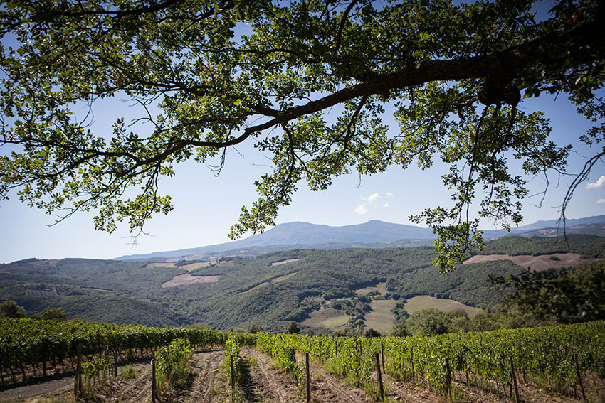 degustazione-valdorcia-terre-senesi2