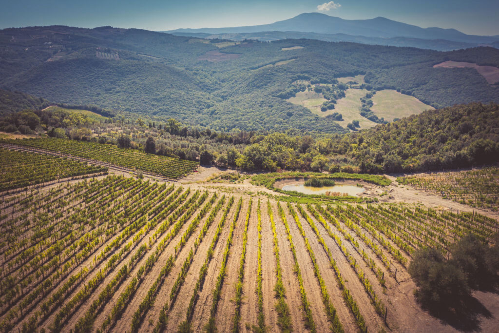 valdorcia-terre-senesi-1024x683