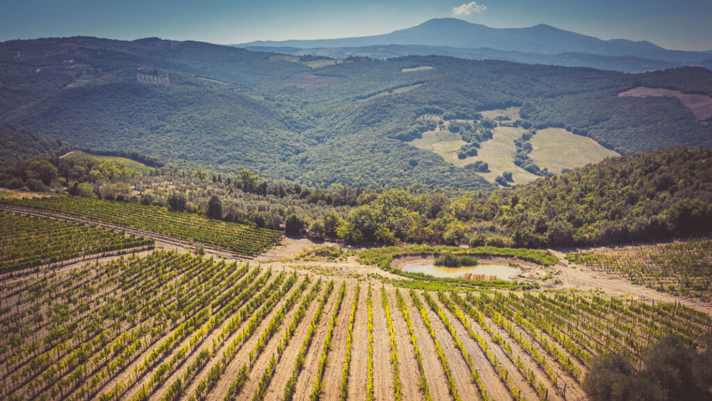 valdorcia-terre-senesi-slider23